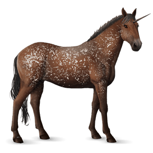 licorne de selle knabstrup leopard noir