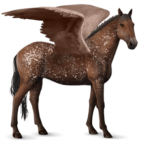 pégase de selle cheval islandais cremello