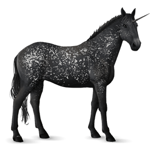 licorne de trait shire noir