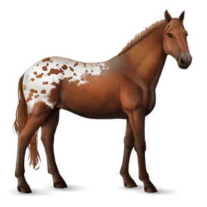 cheval de selle knabstrup spotted alezan