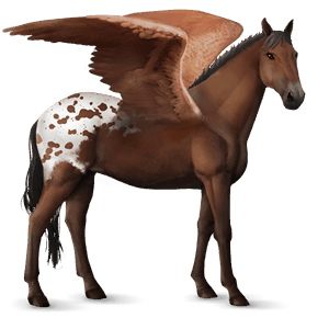 pégase de selle quarter horse alezan crins lavés