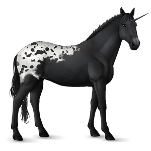 licorne de selle knabstrup leopard noir