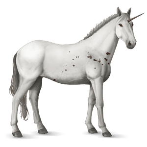 licorne de selle knabstrup few spots alezan