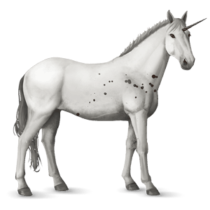 licorne de selle knabstrup few spots bai