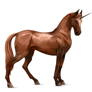 licorne de selle marwari alezan