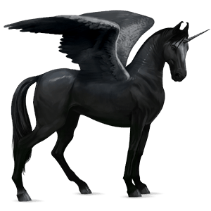 licorne de selle ailée morgan noir