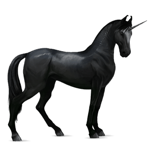 licorne de selle marwari noir