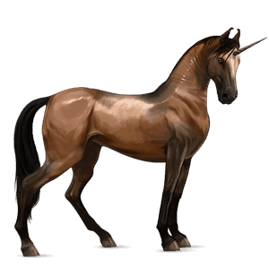 poney licorne shetland bai brûlé