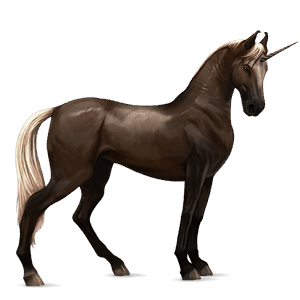licorne de selle marwari gris clair