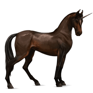 licorne de selle marwari bai brûlé
