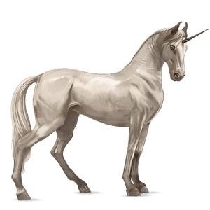 licorne de selle marwari cremello