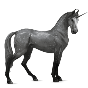 licorne de selle marwari gris pommelé