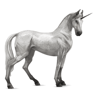 licorne de selle curly pie tobiano gris souris