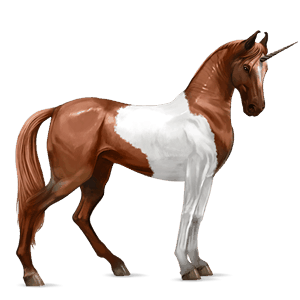 licorne de selle marwari pie tobiano alezan