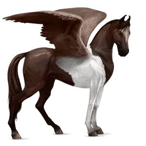 pégase de selle pur-sang anglais palomino