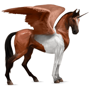 licorne de selle ailée marwari bai