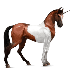 licorne de selle marwari pie tobiano alezan brûlé
