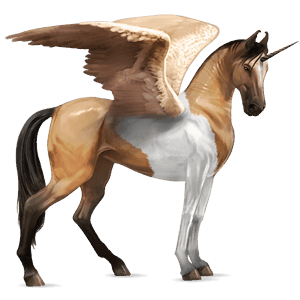 licorne de selle ailée marwari pie tobiano isabelle