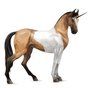 licorne de selle marwari pie tobiano isabelle