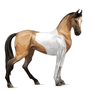 cheval de selle tennessee walker noir