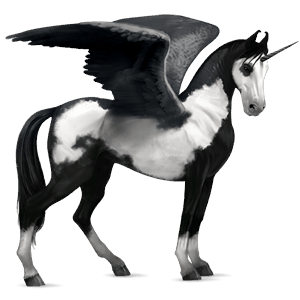 licorne de selle ailée appaloosa spotted bai