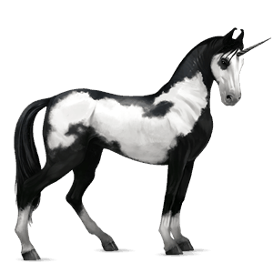 licorne de selle marwari isabelle