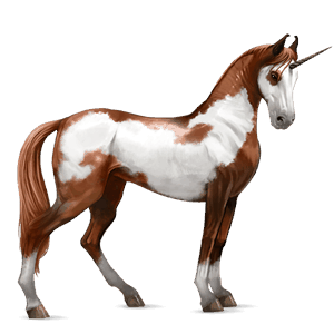 licorne de selle marwari pie alezan overo
