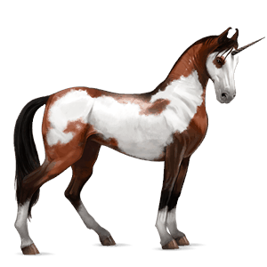 licorne de selle marwari pie overo bai cerise