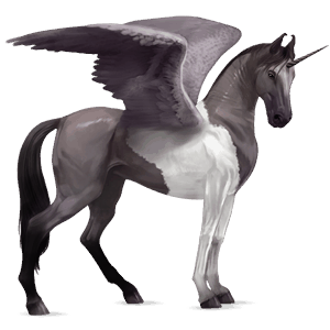 licorne de selle ailée marwari pie tobiano gris souris