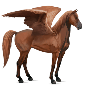 pégase de selle tennessee walker bai cerise