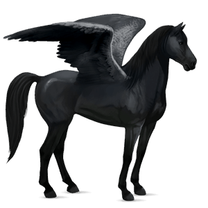 pégase de selle frison noir