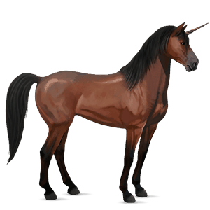 licorne de selle mustang bai cerise