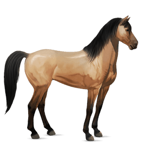 cheval de selle mustang isabelle
