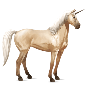 poney licorne welsh aubère
