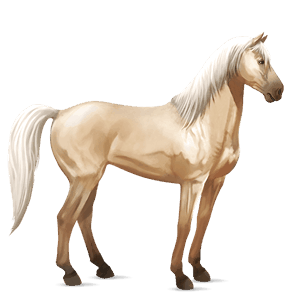 cheval de selle tennessee walker bai brûlé