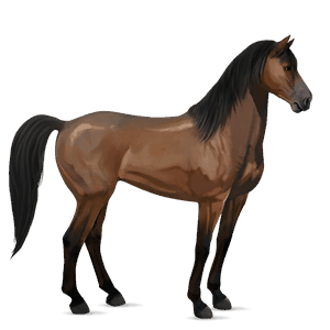 cheval de selle tennessee walker bai cerise