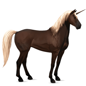 licorne de selle marwari isabelle