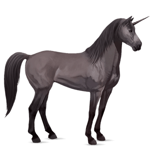 licorne de selle holstein bai