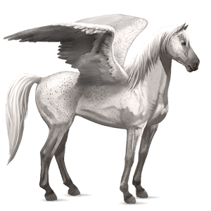 pégase de selle tennessee walker isabelle