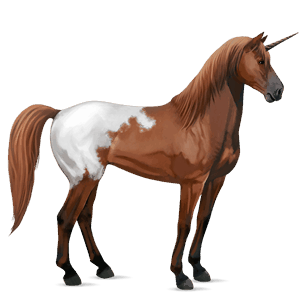 licorne de selle mustang blanket alezan
