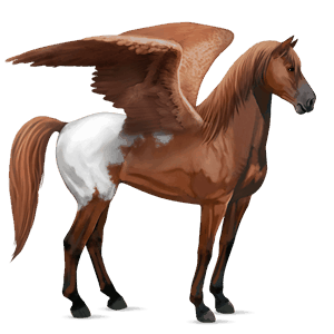 Âne ailé baudet du poitou marron
