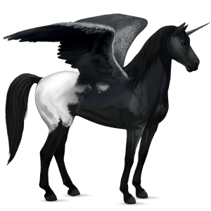 licorne de selle ailée mustang blanket alezan