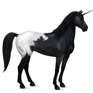 licorne de selle holstein noir