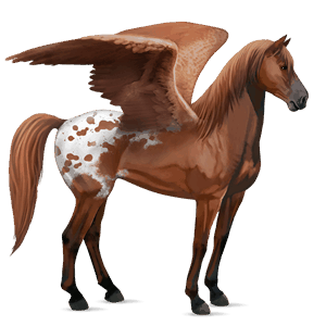 pégase de selle paint horse pie overo bai cerise