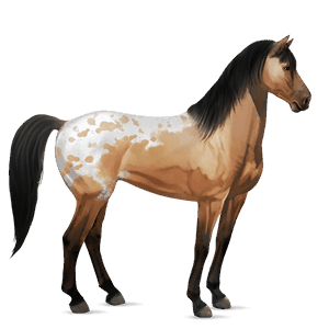 cheval de selle mustang spotted isabelle
