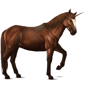 licorne de selle nokota alezan