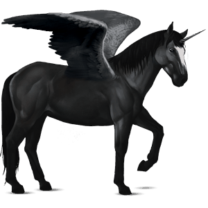 licorne de selle ailée nokota noir