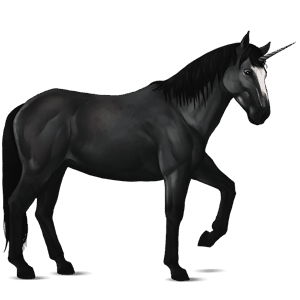 licorne de selle nokota noir