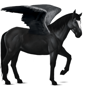 pégase de selle lipizzan alezan brûlé