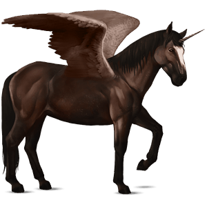 licorne de selle ailée brumby alezan brûlé